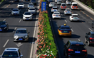 �Ƿ�����(�й���)-�ٷ���վ